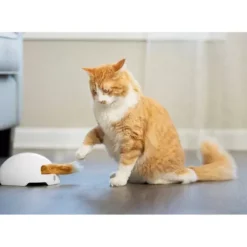 PetSafe Jouets Pour Chats<Jouet Terrier Du Renard Jeu Casse-T Te Automatique Pour Chats