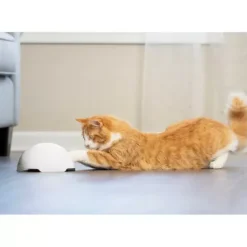 PetSafe Jouets Pour Chats<Jouet Terrier Du Renard Jeu Casse-T Te Automatique Pour Chats
