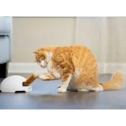 PetSafe Jouets Pour Chats<Jouet Terrier Du Renard Jeu Casse-T Te Automatique Pour Chats
