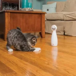 PetSafe Jouets Pour Chats<Laser Automatique Bolt