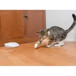 PetSafe Jouets Pour Chats<Laser Automatique Roulant Laser Tail