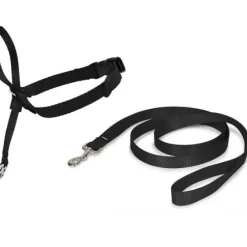 PetSafe Colliers, Harnais Et Licols<Licol Easy Walk®