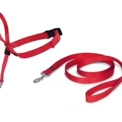 PetSafe Colliers, Harnais Et Licols<Licol Easy Walk®