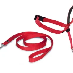 PetSafe Colliers, Harnais Et Licols<Licol Easy Walk®