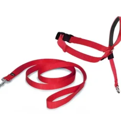 PetSafe Colliers, Harnais Et Licols<Licol Easy Walk®