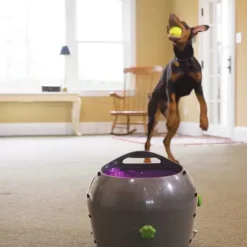 PetSafe Jouets Pour Chiens<® Lanceur De Balle Automatique