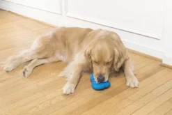PetSafe Jouets Distributeurs De Friandises<Pingouin Frais