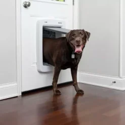 PetSafe Grands Et Très Grands Chiens<Porte Connect E Pour Animaux Smartdoor