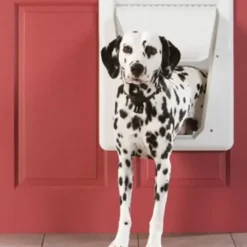 PetSafe Grands Et Très Grands Chiens<Porte Lectronique Pour Animaux Smartdoor (Grand)