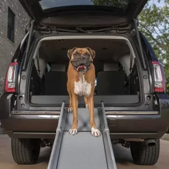 PetSafe Accès Et Mobilité<Rampe T Lescopique Compacte Pour Chiens Happy Ride De ®