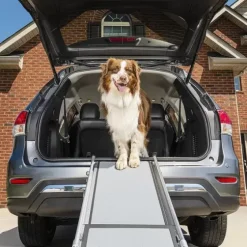 PetSafe Accès Et Mobilité<Rampe T Lescopique Pour Chiens Happy Ride De ®