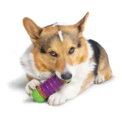 PetSafe Jouets Pour Animaux De Compagnie<Recharges Pour Friandises De Forme Circulaire Ultra- Paisses Busy Buddy®