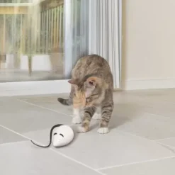 PetSafe Jouets Pour Chats<Rolorat Jeu Casse-T Te Automatique Pour Chats