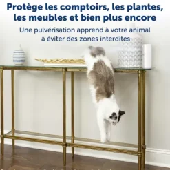 PetSafe Systèmes De Contournement<Spray R Pulsif Automatique Pour Animaux Ssscat