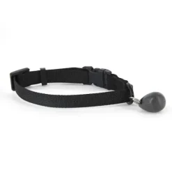 PetSafe Portes Et Chatières<Staywell® Pack De Cl S De Collier Magn Tique