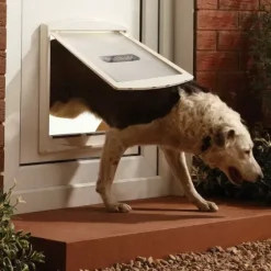 PetSafe Chats<Staywell® Porte Pour Animaux D'Origine 2 Positions