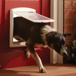 PetSafe Gros Chats/Petits Chiens<Staywell® Porte Pour Animaux D'Origine 2 Positions
