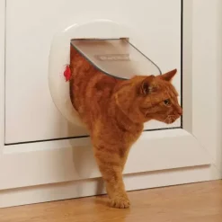 PetSafe Gros Chats/Petits Chiens<Staywell® Porte Pour Grands Chats/Petits Chiens