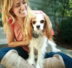 PetSafe Clôtures Anti-Fugue Avec Fil<Syst Me De Cl Ture Anti-Fugue Avec Fil In-Ground Fence De Luxe Pour Petits Chiens