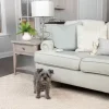 PetSafe Systèmes De Contournement<Tapis D'Entra Nement D'Int Rieur Scatmat