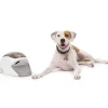 PetSafe Clickers<Treat & Train Manners Minder Dispositif De Dressage Pour Chien Par La R Compense Distance